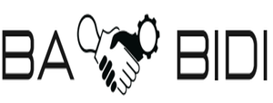Ba Bidi New Website Logo